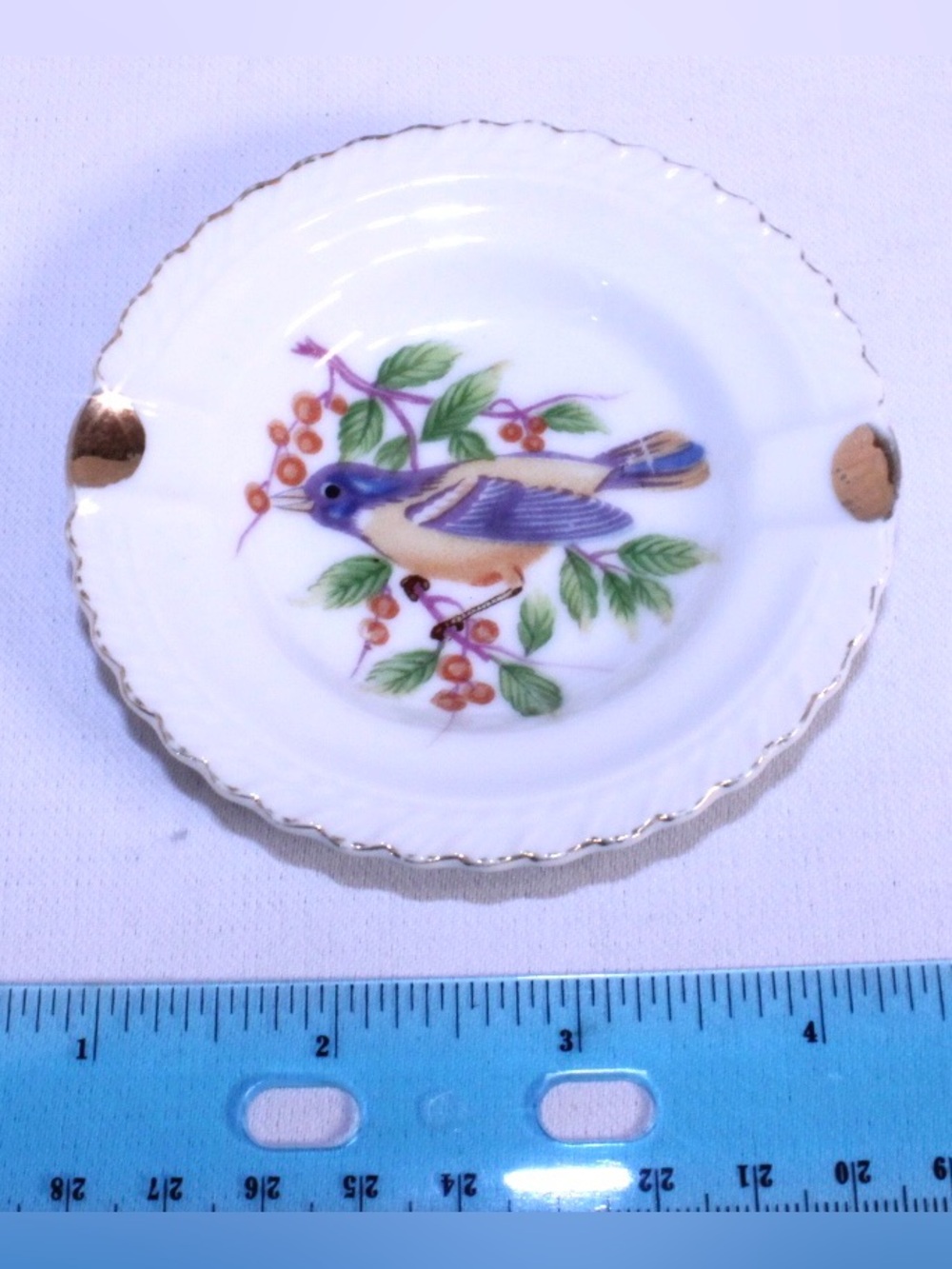 Hand-Painted Bird and Berries Porcelain Butter Pat Dish with Gold Trim